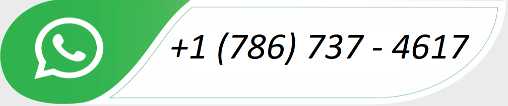 Contact Ticktap on WhatsApp